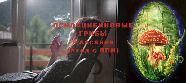 МДПВ Арсеньев